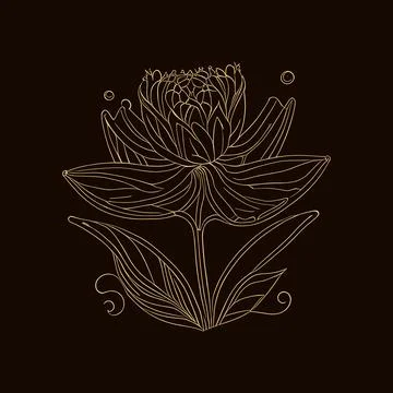 Lotus. Hand drawn flower vector illustration in doodle style. Illustrazione stock