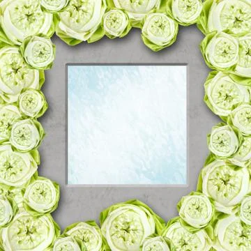 Lotus Stock Illustration