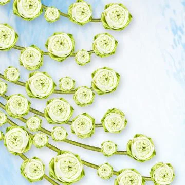 Lotus Stock Illustration