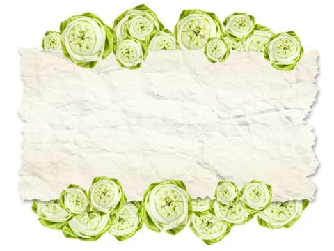 Lotus Stock Illustration