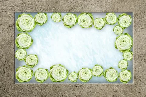 Lotus Stock Illustration