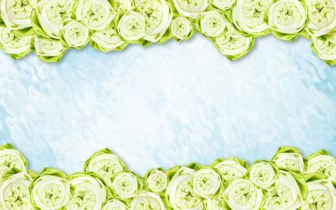 Lotus Stock Illustration