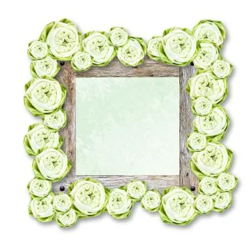 Lotus Stock Illustration