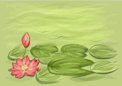 Lotus Stock Illustration