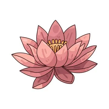 Lotus illustration Stock Illustration
