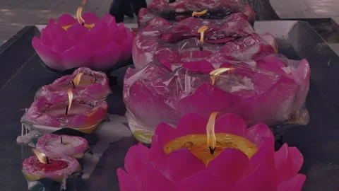 Lotus Lamps of Various Sizes on the Table Stock Footage 314946807