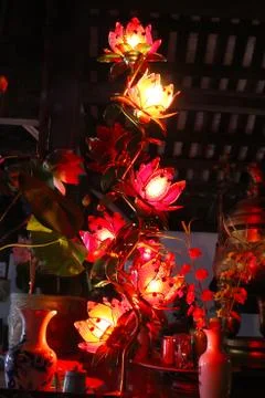 Lotus lights Stock Photos