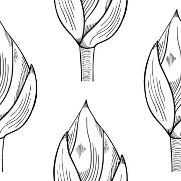 Lotus lily water pattern Stock Illustration