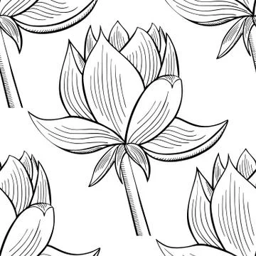 Lotus lily water pattern Stock Illustration