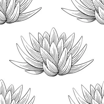 Lotus lily water pattern Stock Illustration