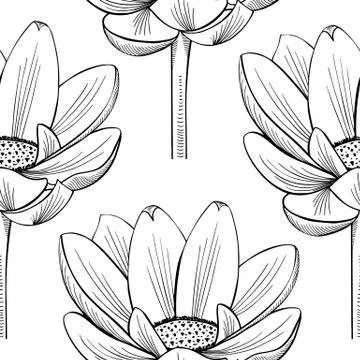 Lotus lily water pattern Stock Illustration