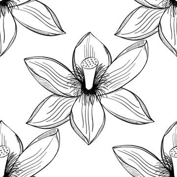 Lotus lily water pattern Stock Illustration