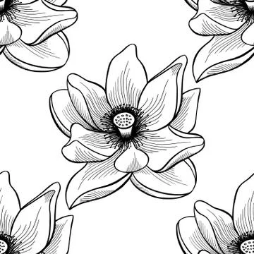 Lotus lily water pattern Stock Illustration
