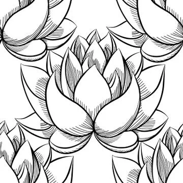 Lotus lily water pattern Stock Illustration