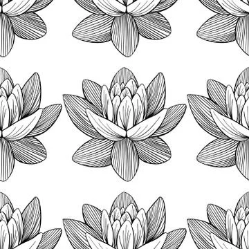 Lotus lily water pattern Stock Illustration