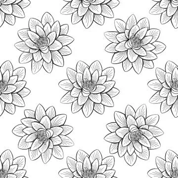 Lotus lily water pattern Stock Illustration