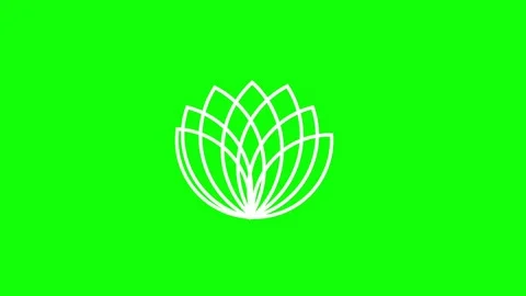 Lotus line icon motion graphics on green screen 2D animation (Chroma key) Stock-Footage 307659212