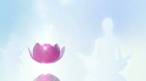 Lotus Meditation Video stock 11064012