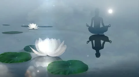 Lotus Meditation. Video stock 11249972