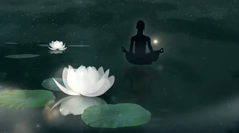 Lotus Meditation. Stock Footage 11277857
