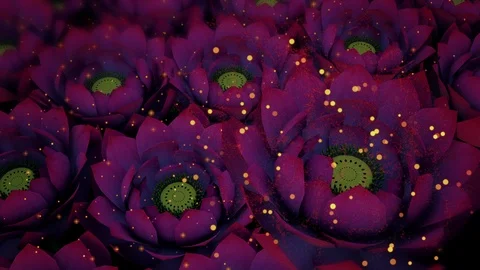 Lotus Particles Stock Footage 123104321