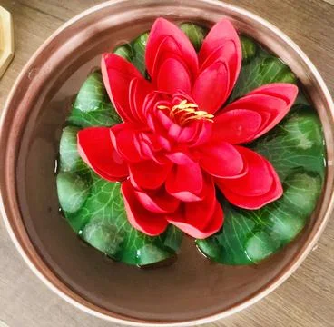 Lotus Stock Photos
