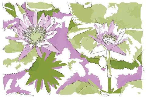 Lotus in the pond Stock Illustration