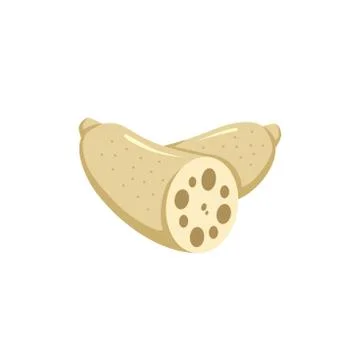 Lotus root icon vector. Illustration of lotus root isolated on white backgrou Stock Illustration