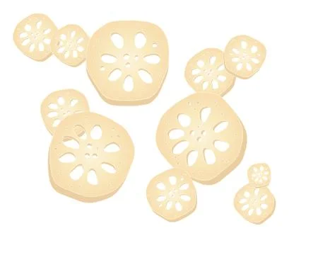 Lotus root Stock Illustration