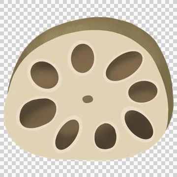 Lotus root Stock Illustration