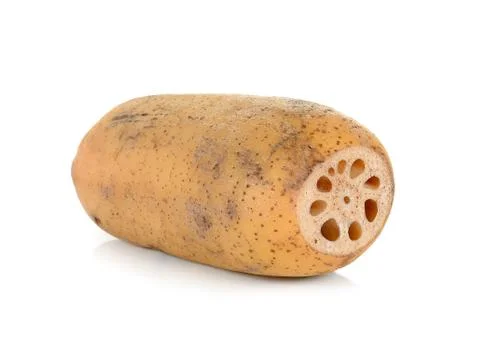 Lotus root isolated on the white background Stock Photos