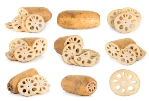 Lotus root isolated on the white background Stock Photos