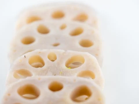 Lotus root isolated on white background Stock Photos