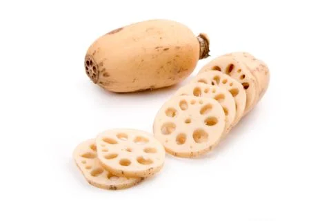 Lotus root Stock Photos