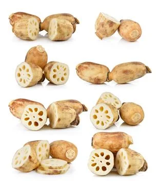 Lotus root on white background Stock Photos