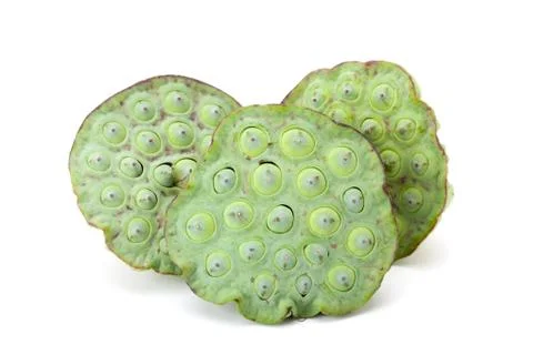 Lotus seed Stock Photos