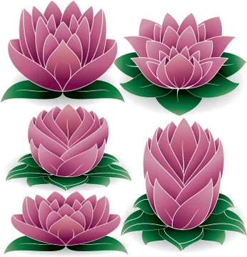 Lotus Silhouette Stock Illustration