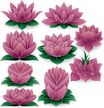 Lotus Silhouette Stock Illustration