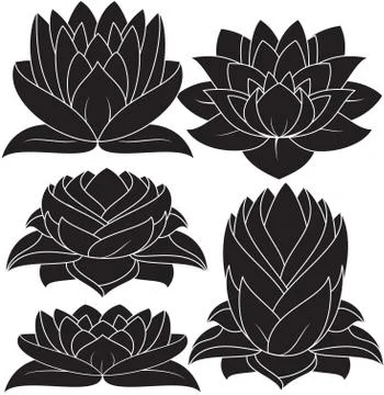 Lotus Silhouette Stock Illustration