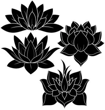 Lotus Silhouette Stock Illustration