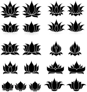 Lotus Silhouette Stock Illustration