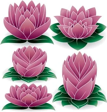 Lotus Silhouette Stock Illustration