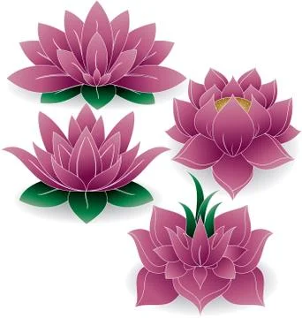 Lotus Silhouette Stock Illustration