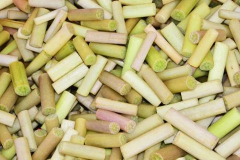 Lotus stem for cooking Stock Photos