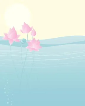 Lotus in water Stock Illustration