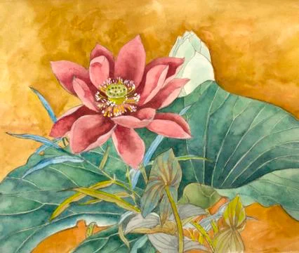 Lotus on a yellow background Stock Illustration