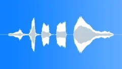 Loud cartoon laughterSound Effect