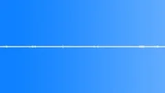 Loud crickets on evening meadow loopSound Effect