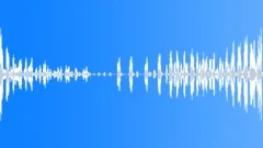 Loud Flamingo Group Squawk Calls Sound Effect