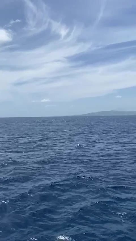 Loud 動画素材 205997869